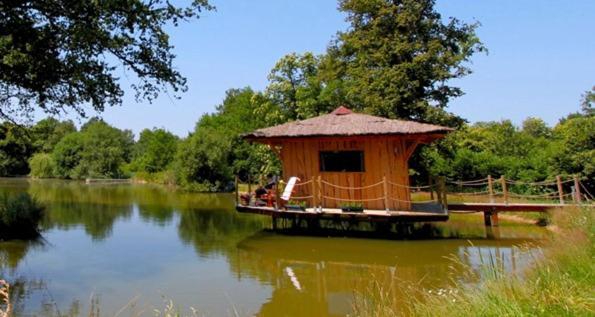 Le Domaine De La Vergnolle Roches  Luaran gambar